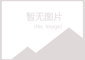 八道江区初夏机械有限公司